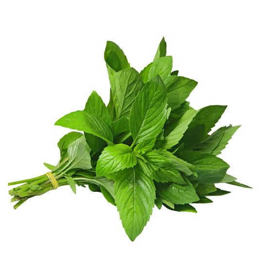 Fresh- Peppermint