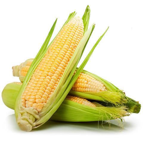 Corn Cob -each