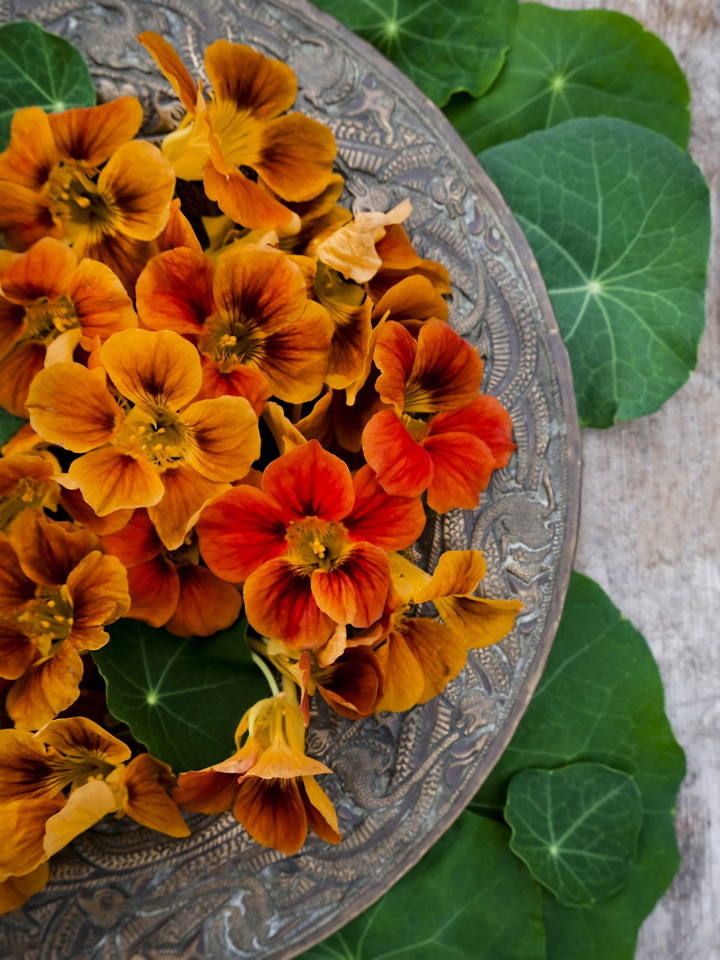 Nasturtium- flowers & Leaves- punnet