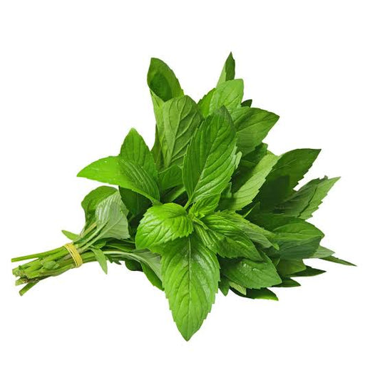 Fresh- Peppermint