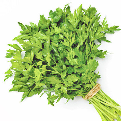 Fresh Parsley - Bunch