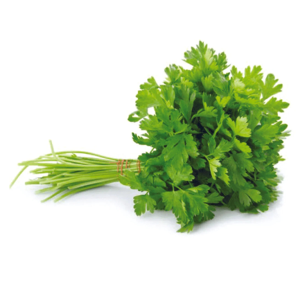 Fresh Coriander - Bunch