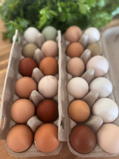 Riverbanks Organic Pasture-Raised Eggs -dozen