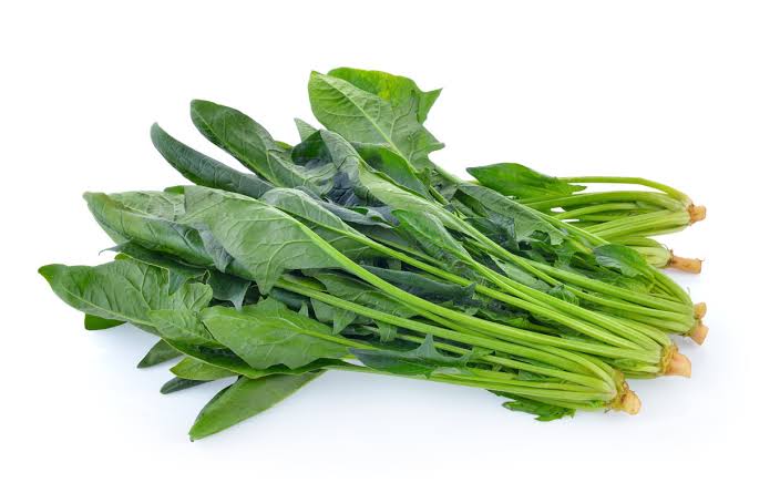 English spinach bunch - each