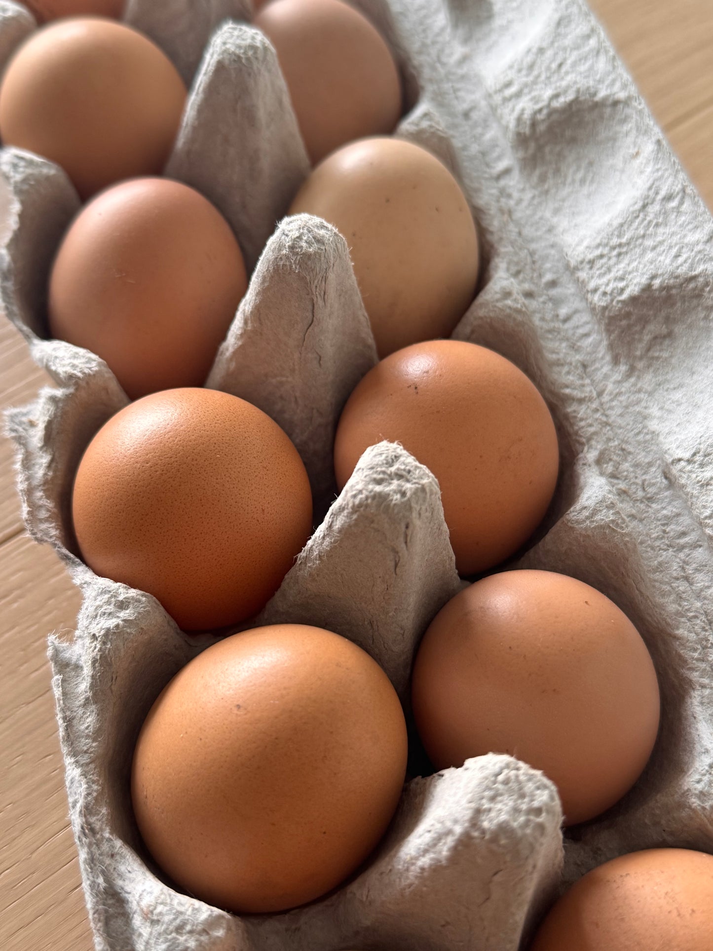 Riverbanks Organic Pasture-Raised Eggs -dozen