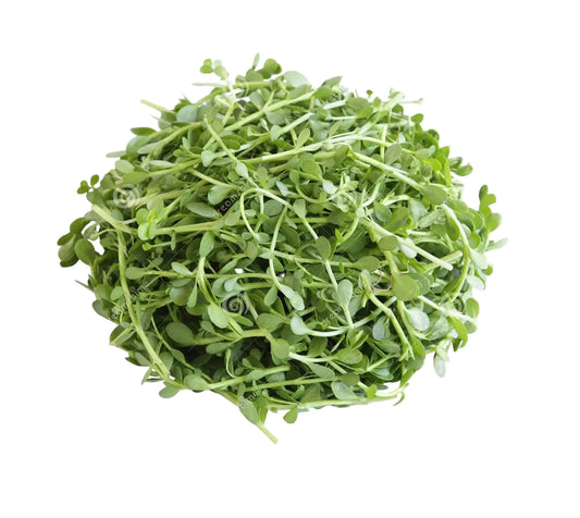 Water Hyssop - 150g