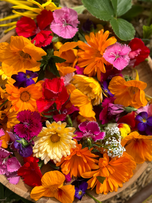 Edible Flowers Punnet