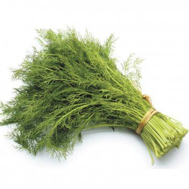 Fresh Dill - Bunch