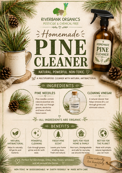 Pine Cleaner - Each