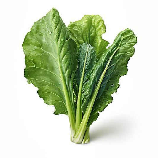 Silverbeet - Bunch